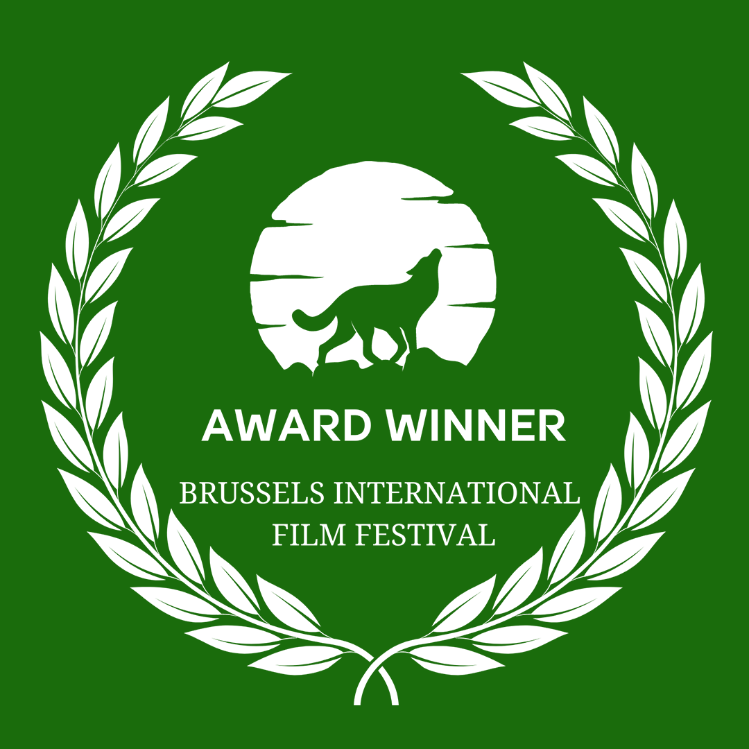 Best Experimental